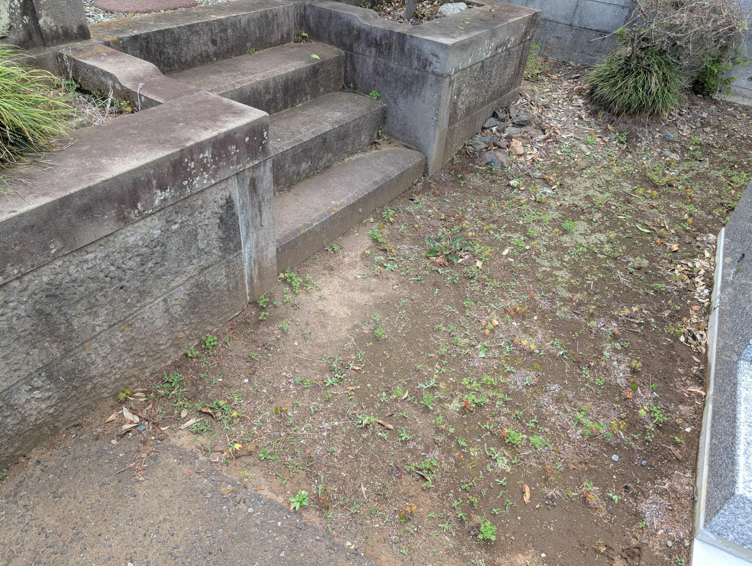 お墓リフォーム前の通路部分の土の状態
